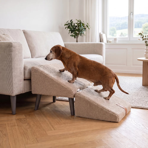 Pouf-rampe 2-en-1 Plouki : marche et rampe pour chien
